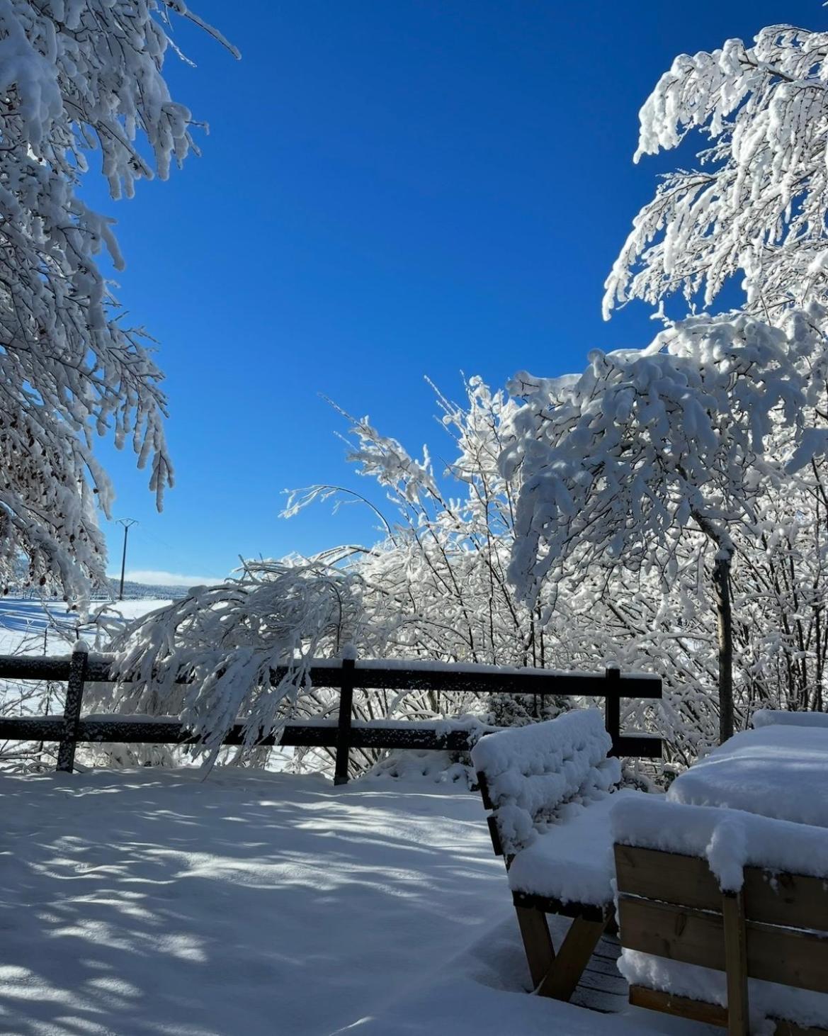 Chalet Cosy Entre Lacs Et Montagnes Métabief Zewnętrze zdjęcie